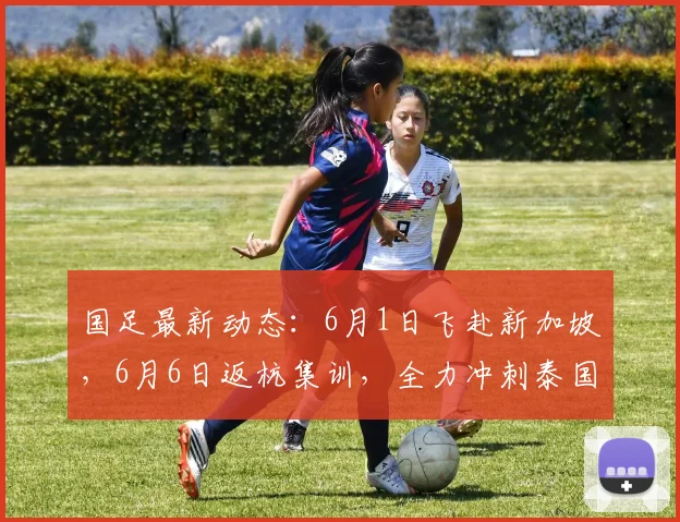 国足最新动态:6月1日飞赴新加坡,6月6日返杭集训,全力冲刺泰国关键战