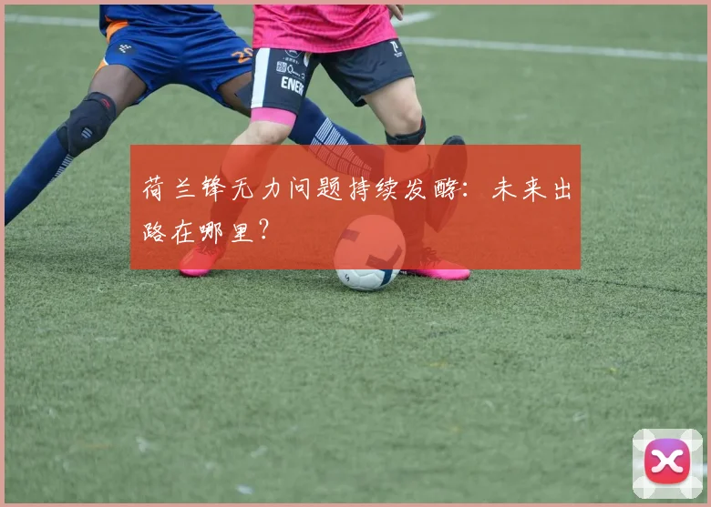 荷兰锋无力问题持续发酵:未来出路在哪里?